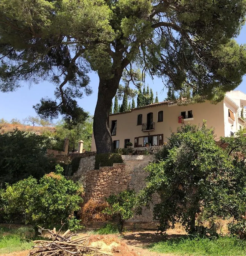 Cortijo El Pino Retreat Bed & Breakfast Albunuelas